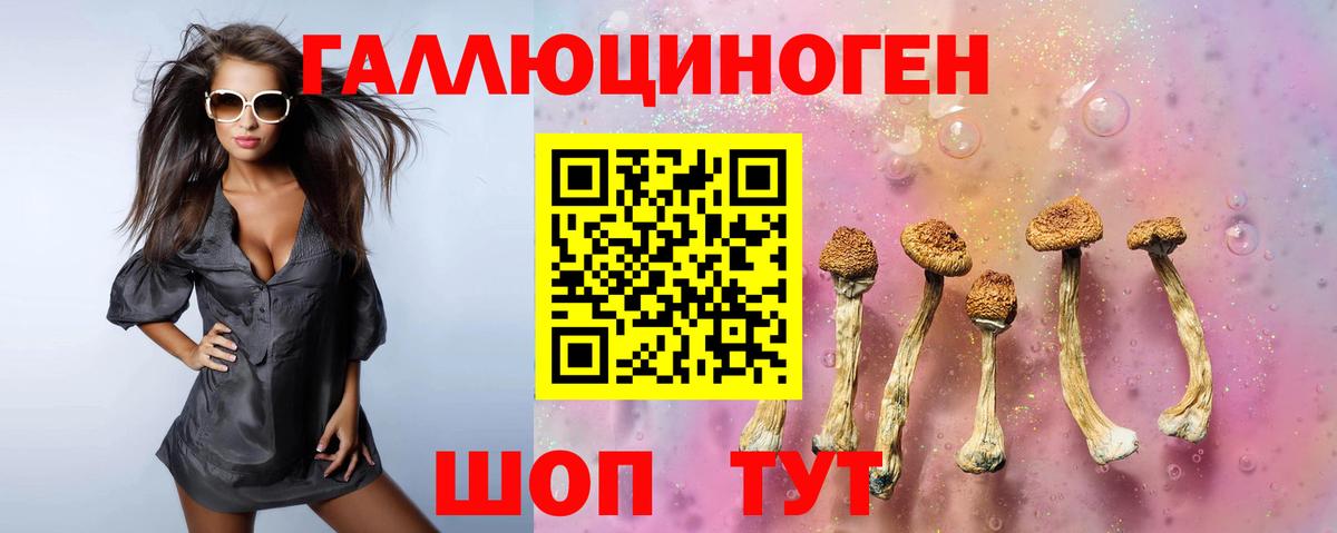 Ипатово  Галлюциногенные грибы прущие грибы  Вход с VPN 